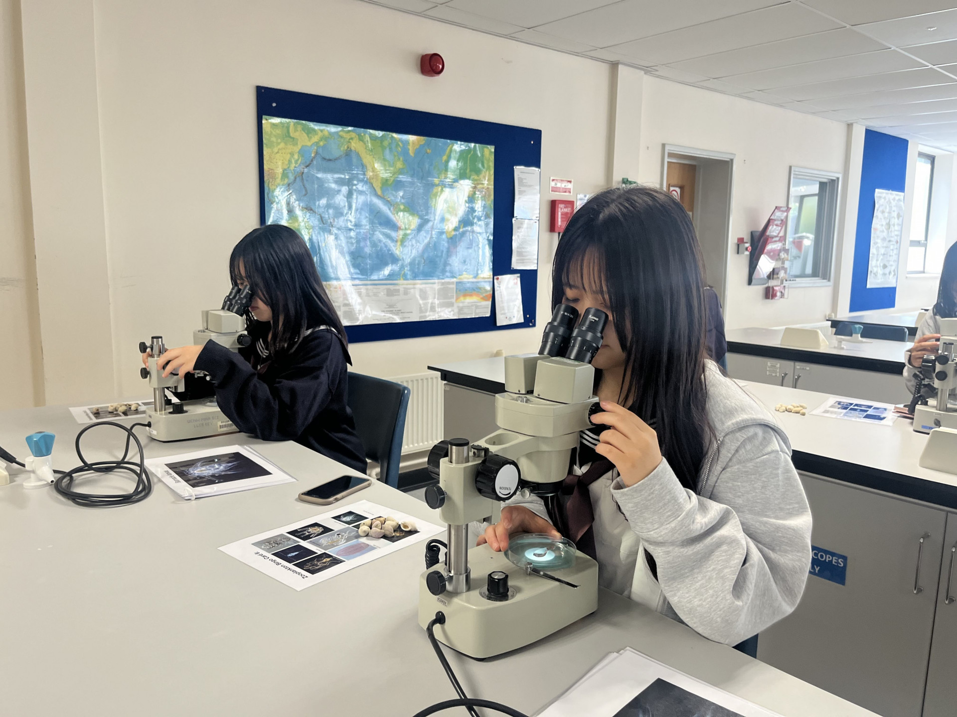 20250821 理数ファウンデーション研修5